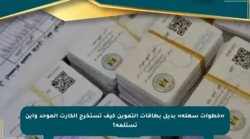 «خطوات سهلة» بديل بطاقات التموين كيف تستخرج الكارت الموحد وأين تستلمه؟